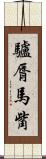 驢脣馬觜 Scroll