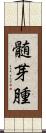 髄芽腫 Scroll