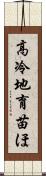 高冷地育苗ほ Scroll