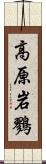 高原岩鷚 Scroll