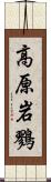 高原岩鷚 Scroll