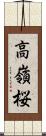 高嶺桜 Scroll