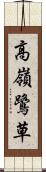 高嶺鷺草 Scroll