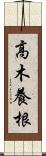 高木養根 Scroll