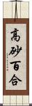 高砂百合 Scroll