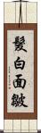 髮白面皺 Scroll