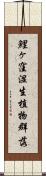 鯉ヶ窪湿生植物群落 Scroll