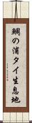 鯛の浦タイ生息地 Scroll