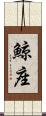 鯨座 Scroll