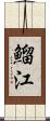 鰡江 Scroll