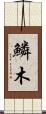 鱗木 Scroll