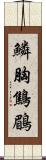 鱗胸鷦鶥 Scroll