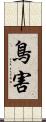 鳥害 Scroll