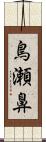 鳥瀬鼻 Scroll