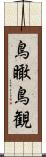 鳥瞰 Scroll