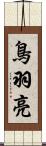 鳥羽亮 Scroll