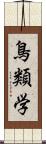 鳥類学 Scroll