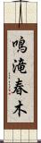 鳴滝春木 Scroll