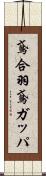 鳶合羽 Scroll