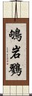 鴝岩鷚 Scroll