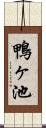 鴨ヶ池 Scroll