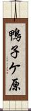 鴨子ケ原 Scroll