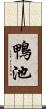 鴨池 Scroll