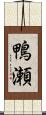 鴨瀬 Scroll