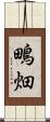 鴫畑 Scroll