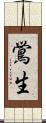 鴬生 Scroll