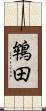 鴾田 Scroll