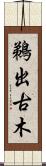 鵜出古木 Scroll