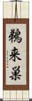 鵜来巣 Scroll