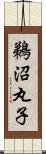 鵜沼丸子 Scroll