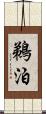 鵜泊 Scroll