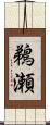 鵜瀬 Scroll