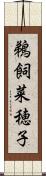 鵜飼菜穂子 Scroll