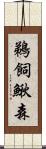 鵜飼鰍森 Scroll