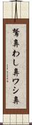 鷲鼻 Scroll
