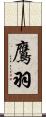 鷹羽 Scroll