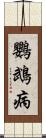 鸚鵡病 Scroll