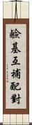 鹼基互補配對 Scroll