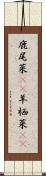 鹿尾菜(rK) Scroll