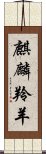 麒麟羚羊 Scroll