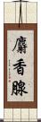 麝香腺 Scroll