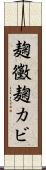 麹黴 Scroll
