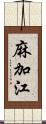 麻加江 Scroll