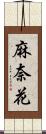 麻奈花 Scroll