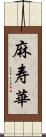 麻寿華 Scroll
