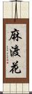 麻渡花 Scroll